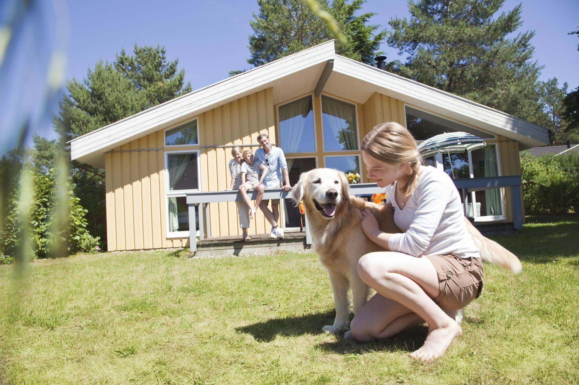Ferienpark Mirow Zewnętrze zdjęcie