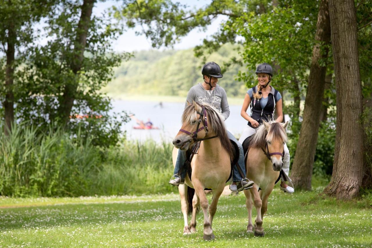 Ferienpark Mirow Zewnętrze zdjęcie
